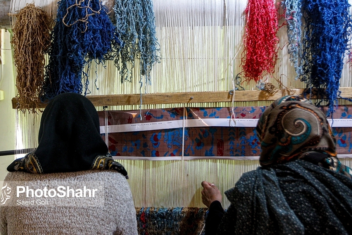 معاون توانمندسازی مرکز کارآفرینی و توانمندسازی سازمان بهزیستی کشور با اشاره به افزایش کمک‌هزینه شهریه دانشجویی زنان سرپرست‌خانوار گفت: برای نخستین بار، خانواده‌های نیازمند و زنان سرپرست‌خانوار تحت پوشش در دهک‌های یک تا چهار درآمدی، ۱۰۰ درصد شهریه دانشجویی را دریافت خواهند کرد.