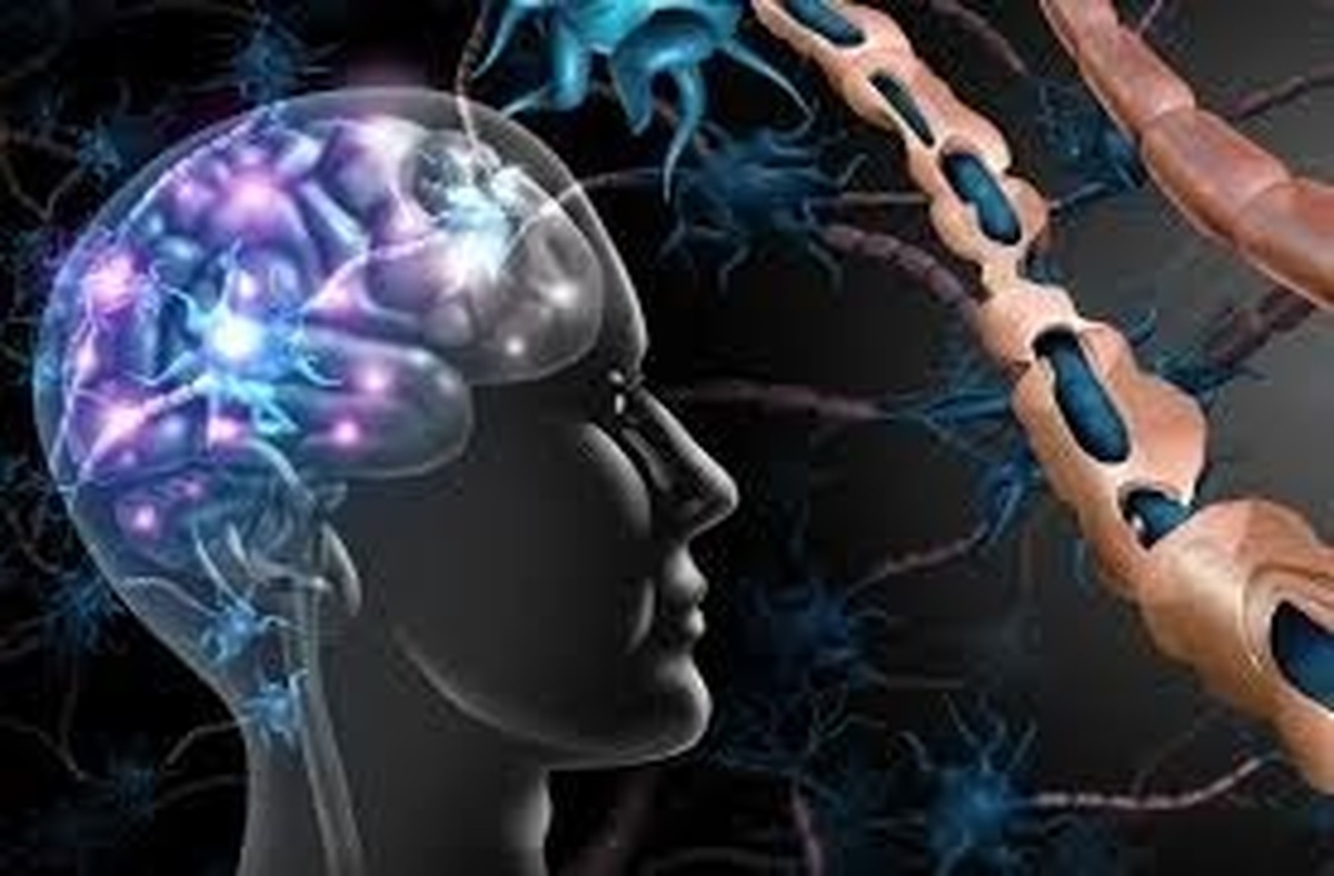 فلوشیپ بیماری ام‌اس و استادیار گروه بیماری‌های اعصاب دانشگاه علوم پزشکی مشهد گفت: کلینیک جامع ام‌اس بیمارستان قائم(عج)، تنهامرکز درمان بیماران ام‌اس در شرق کشور بوده که مجهز به مرکز بازتوانی برای درمان مبتلایان به این بیماری است.