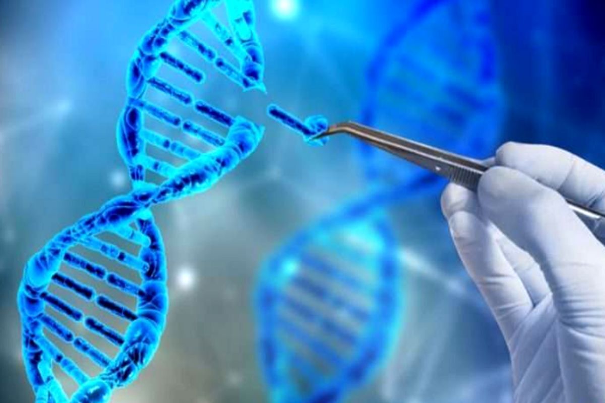 عضو هیأت علمی گروه ژنتیک پزشکی و پزشکی مولکولی دانشگاه علوم پزشکی مشهد گفت: ساختار وزارت بهداشت و دانشگاه علوم پزشکی مشهد قابلیت اجرایی کردن مطالعات درمان‌های نوظهور از جمله سلول درمانی و ژن درمانی را دارد. در ایران نیز مطالعاتی در زمینه درمان بیماری تالاسمی با استفاده از همین روش انجام شده است که امید می رود تا ۲ سال آینده درمان بیماری تالاسمی از طریق ژن درمانی صورت گیرد.