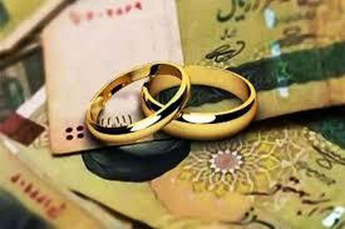 وزیر اقتصاد پیشنهاد کرد که در صورت ممکن بخشی از وام ازدواج به صورت غیر نقدی و در قالب خرید اقساطی لوازم خانگی مورد نیاز زوج‌های جوان به متقاضیان پرداخت شود.