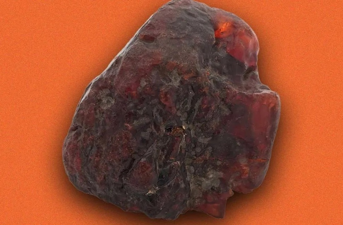 یک زن مسن در رومانی برای چندین دهه از یک سنگ سه کیلوگرمی به‌عنوان «نگهدارنده در» استفاده می‌کرد؛ به تازگی مشخص شده این سنگ یکی از بزرگترین تکه‌های کهربای شناخته‌شده در جهان است!
