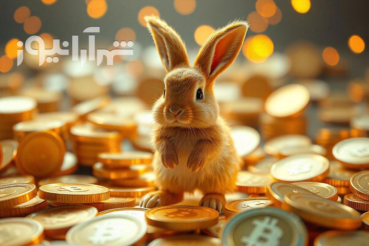 راکی ربیت شامل چالش‌های روزانه از جمله کارت‌های روزانه، انیگما و توکن‌های مخفی است. در ادامه راهنمای تمام حل تمام چالش‌های چهارشنبه ۲۱ شهریور را می‌بینیم.