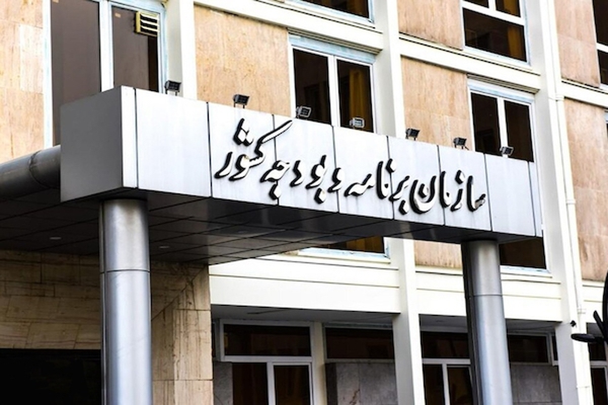 سازمان برنامه و بودجه از تخصیص ۱۰۰ درصدی اعتبارات مربوط به مراکز نگهداری معلولان و کمک هزینه پرستاری به خانوار‌ها خبرداد.