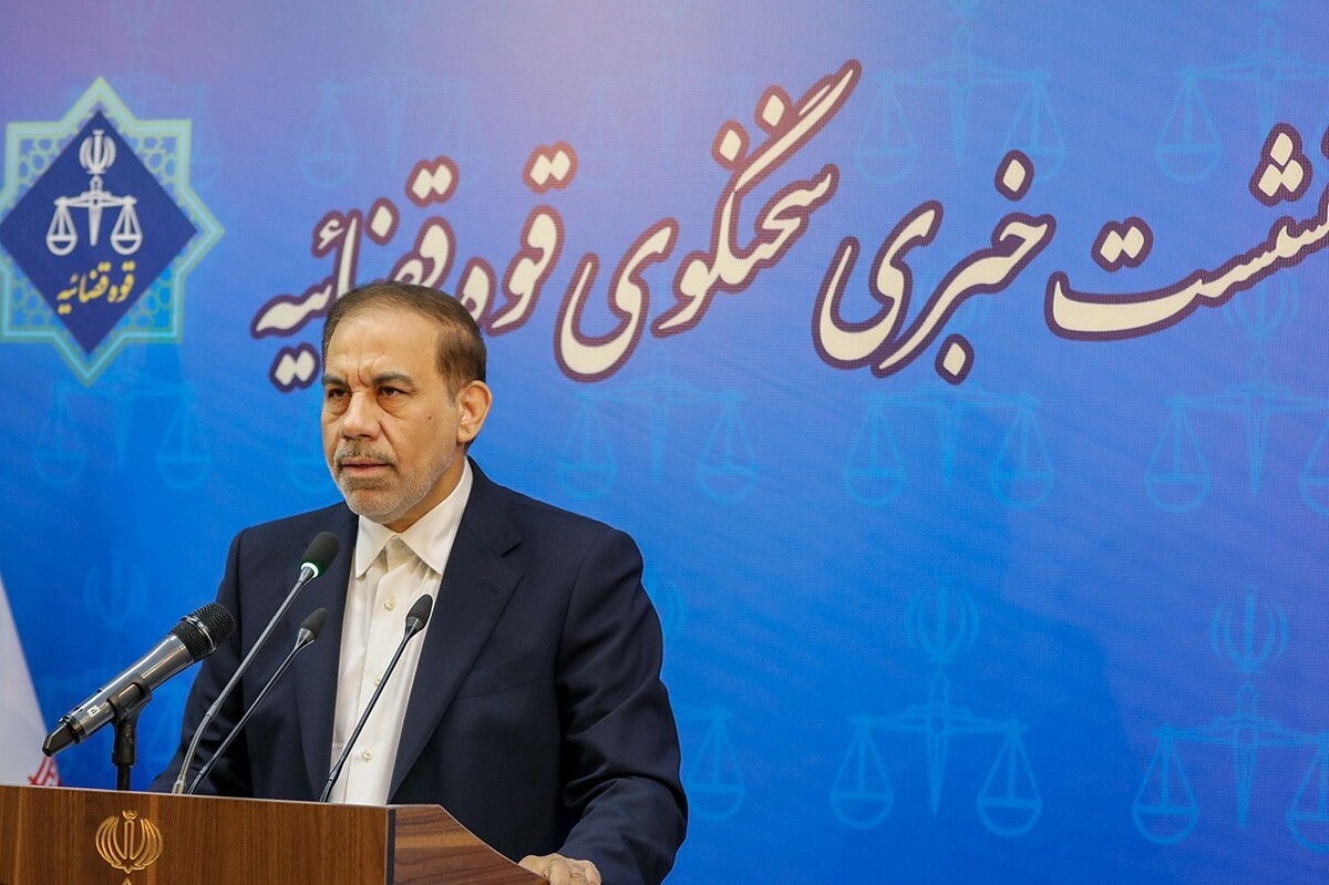سخنگوی قوه قائیه در نشست خبری خود به تشریح آخرین اقدامات دستگاه قضائی پرداخت.
