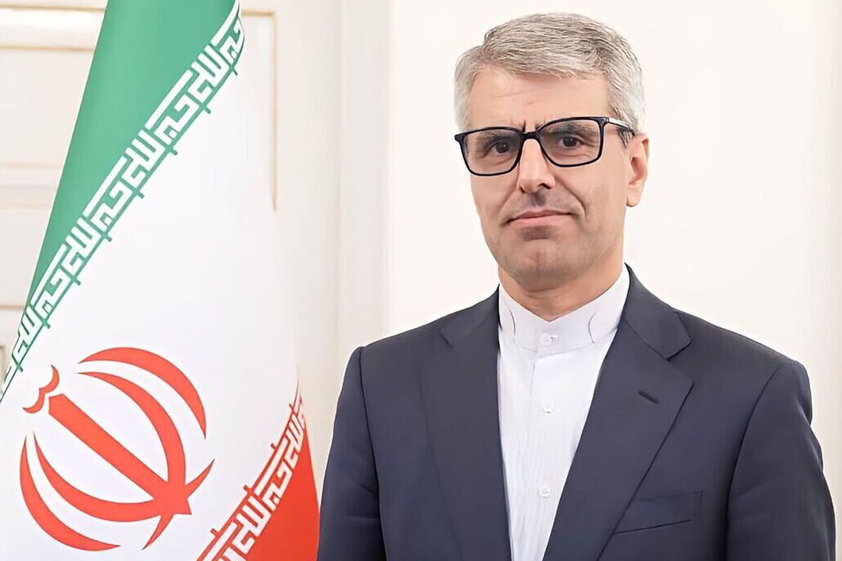 سخنگوی وزارت امور خارجه هدف رژیم صهیونیستی برای گسترش جنگ در منطقه را اعمال نفوذ شریرانه بر نتیجه انتخابات آتی آمریکا دانست.