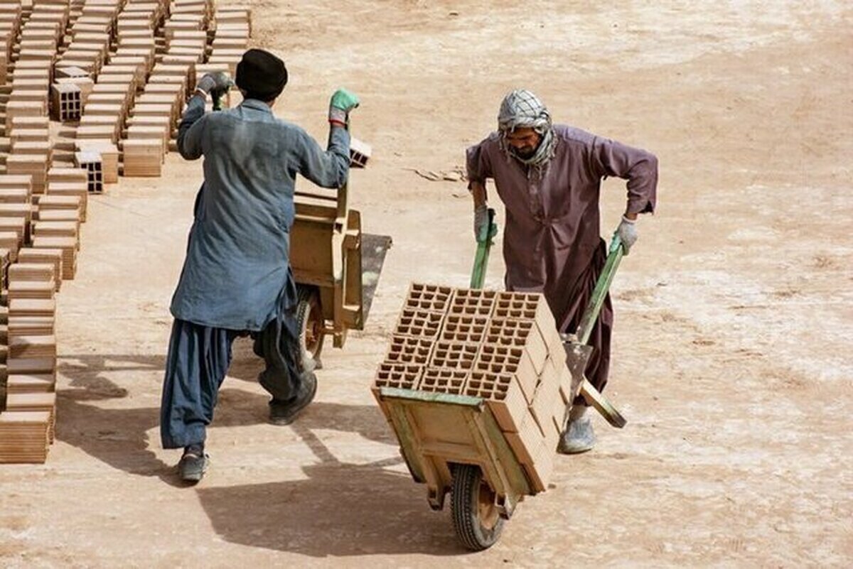 عضو شورای عالی کار گفت: افغانستانی‌ها برای کار، به ایران مهاجرت می‌کنند و عمدتاً به دنبال فرصت‌های شغلی هستند. درآمد آن‌ها غالباً به کشور خودشان ارسال می‌شود. بیشتر کارگران افغانستانی به‌صورت مجرد در یک خانه یا اتاقی در کارگاه زندگی می‌کنند و هزینه‌های زندگی‌شان نیز بسیار کم است.