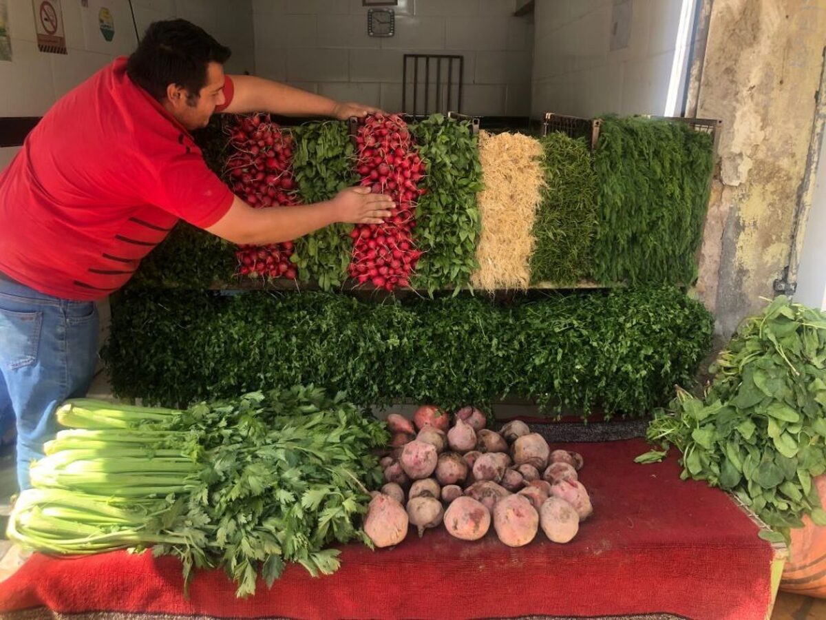 اتحادیه بارفروشان مشهد نرخ انواع میوه و صیفی‌جات را به صورت عمده‌فروشی و در میادین میوه و تره‌بار مشهد، اعلام کرد.