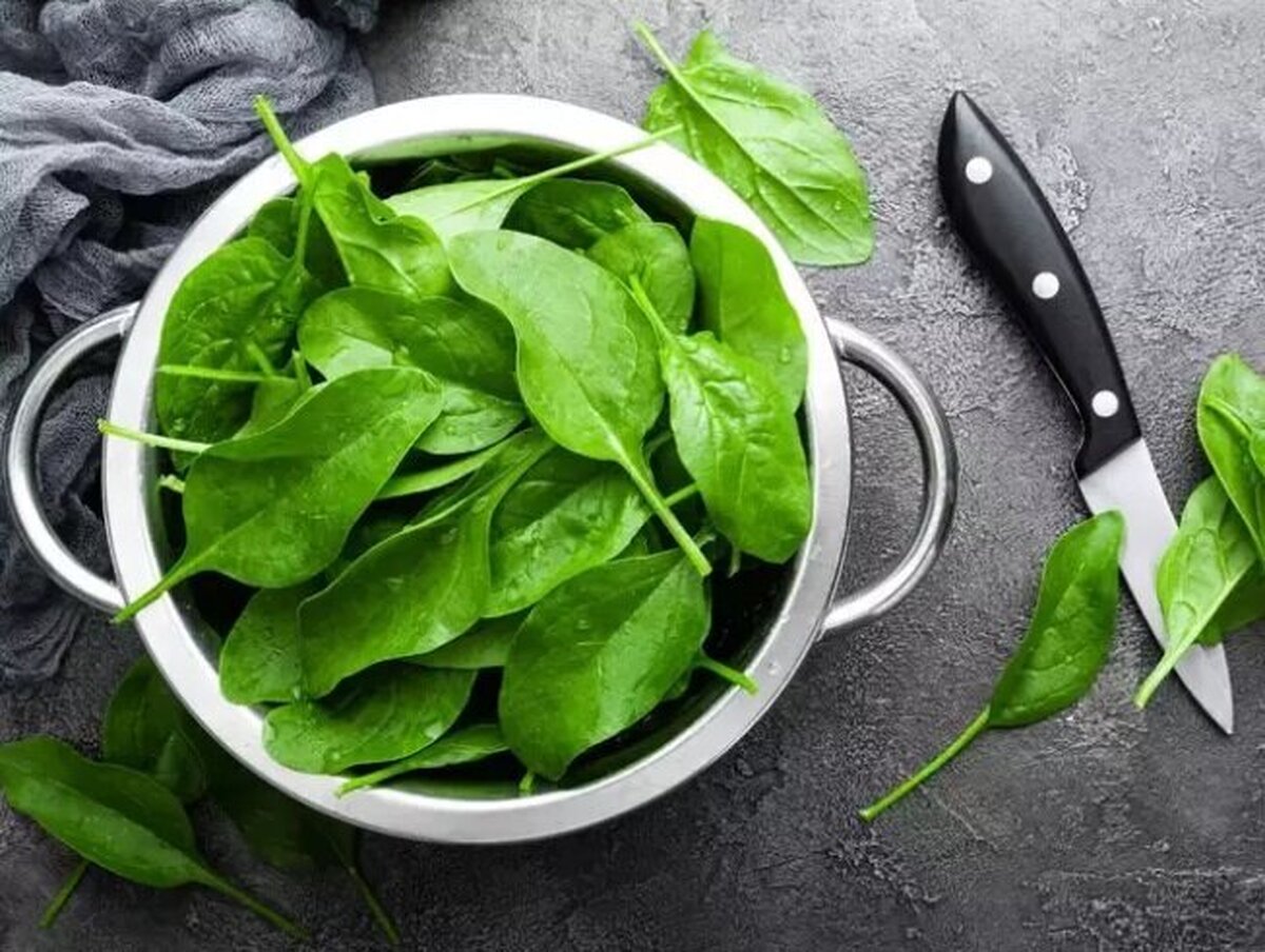 اسفناج کلسترول خون را پایین آورده و میزان بالای پتاسیم و میزان پایین سدیم موجود در این سبزی برای حفظ تعادل فشارخون لازم است، چرا که پتاسیم کاهش دهنده و سدیم افزایش دهنده فشارخون است.