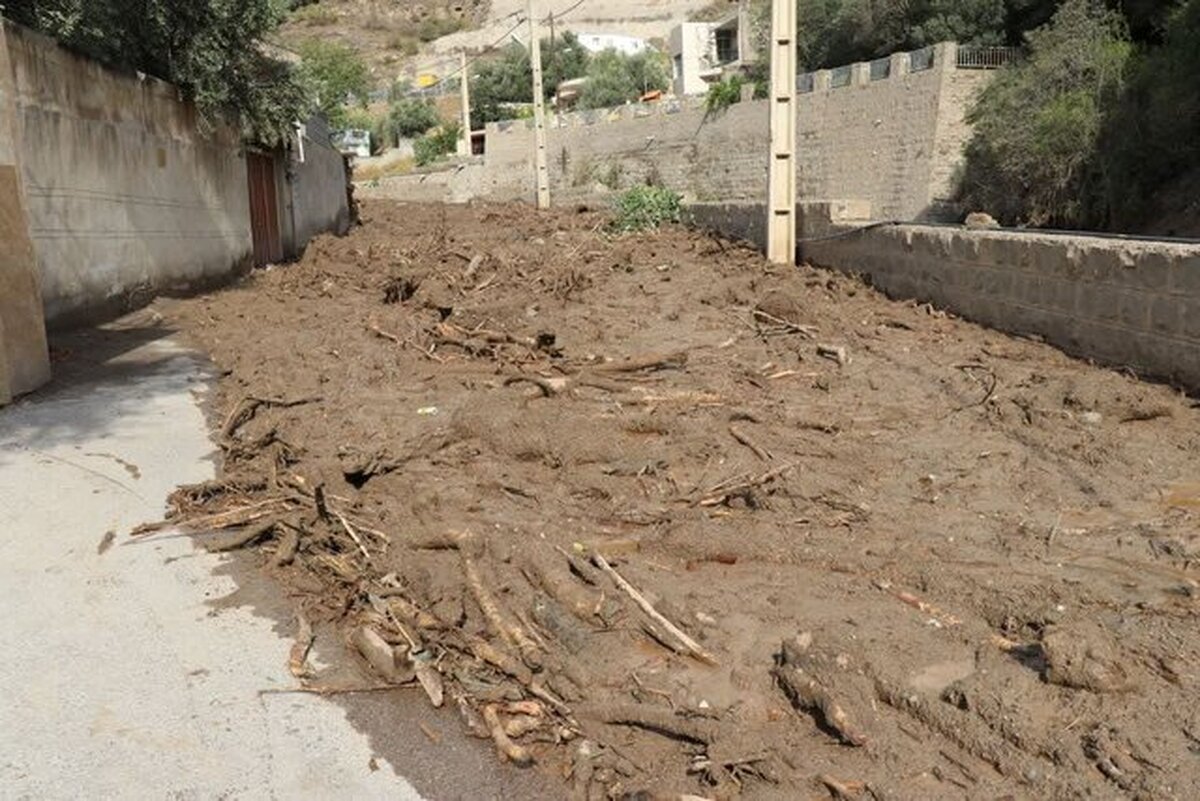 مدیرعامل جمعیت هلال احمر استان کرمان گفت: درپی وقوع سیلاب در شهرستان‌های جنوب کرمان ۱۶ نفر مفقود شده‌اند. تاکنون جسد هفت نفر از آنها پیدا شده است.