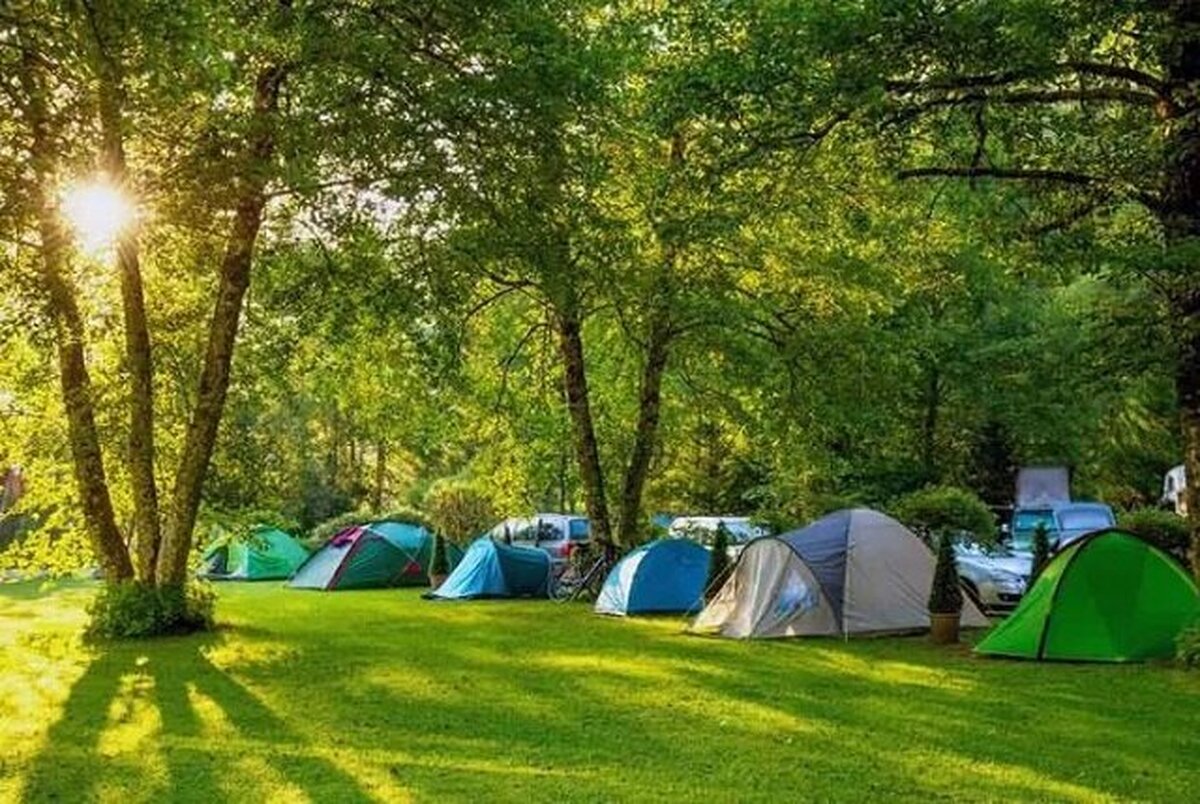 سفر باعث گذراندن اوقات خوش و استحکام روابط عاطفی میان اعضای خانواده می‌شود.