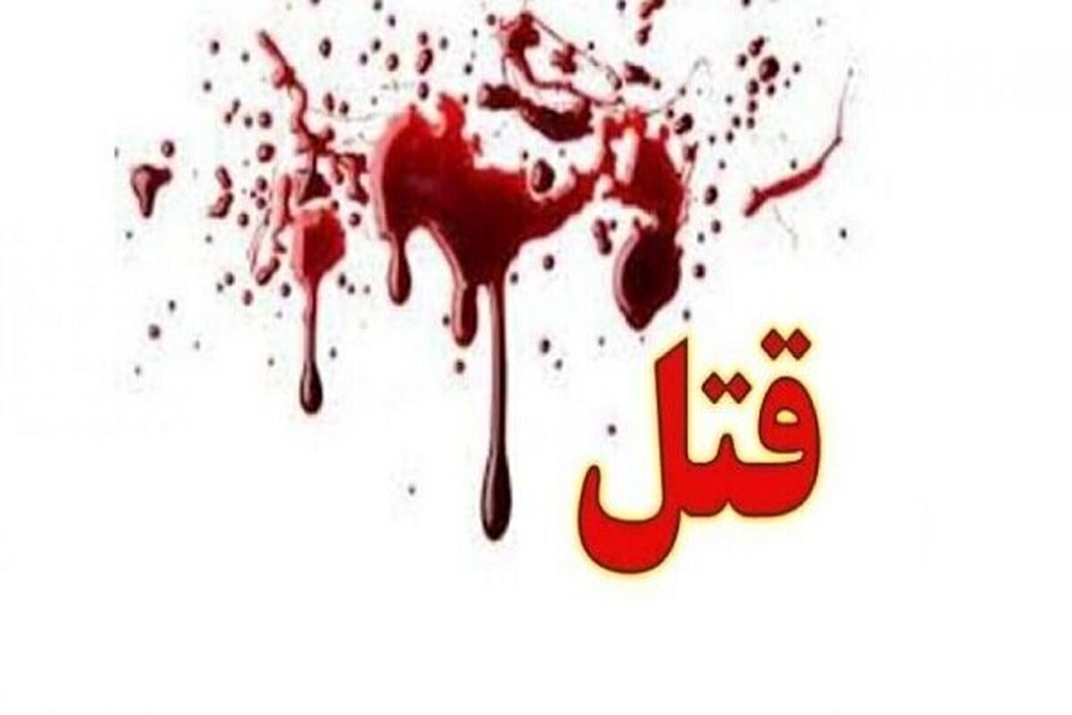مرد شکارچی که با شلیک اسلحه شکاری مرتکب قتل دوستش شده است ادعا کرد شلیک اشتباهی بوده و اصلاً متوجه نشده دوستش را می‌کشد.