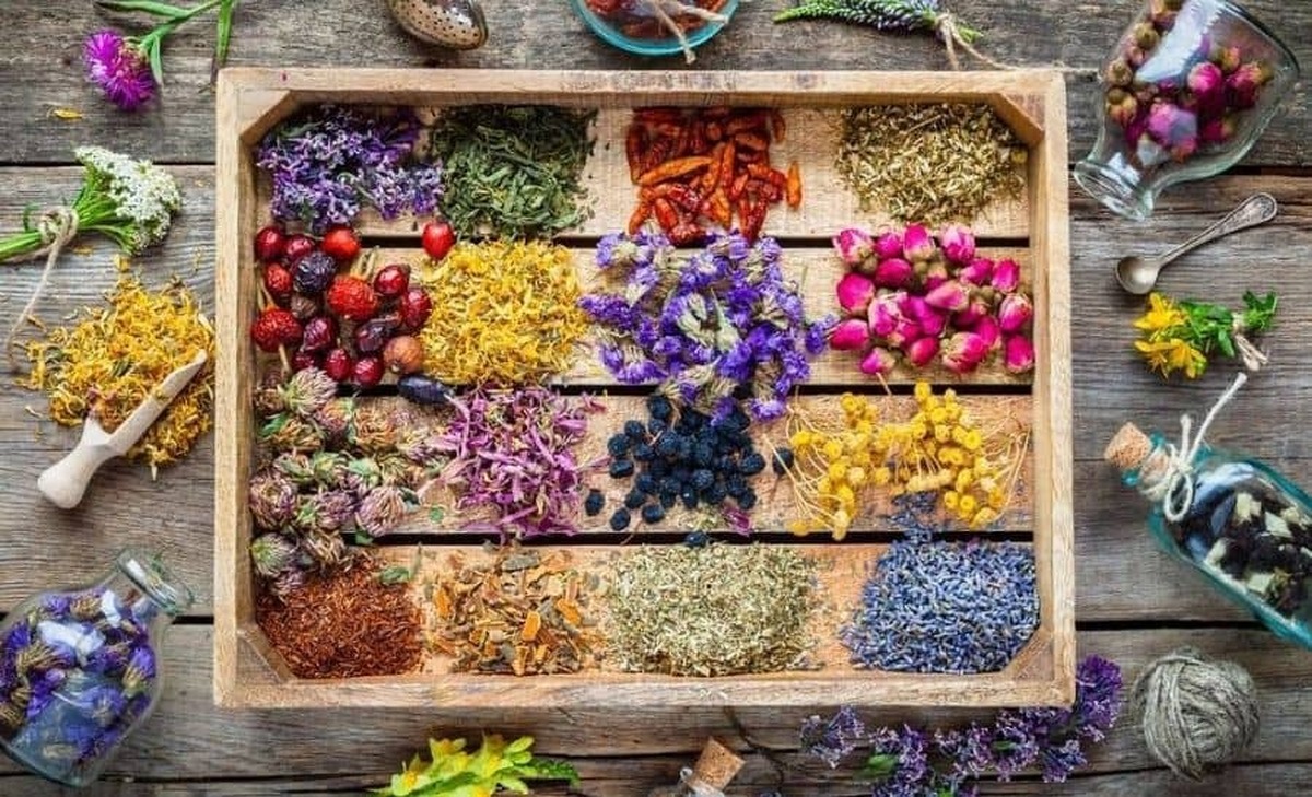 دبیر شورای عالی انقلاب فرهنگی با اشاره به تحول عظیم سند گیاهان دارویی و اثربخشی مثبت آن در حوزه داروسازی از سال ۹۲ گفت: با توجه به پیشرفت‌های جدید در فناوری نانو و تکنولوژی‌های مولکولی که می‌توانند اثربخشی دارو‌های گیاهی را افزایش دهند، نیاز به بازنگری این سند بعد از گذشت بیش از یک دهه احساس می‌شود.