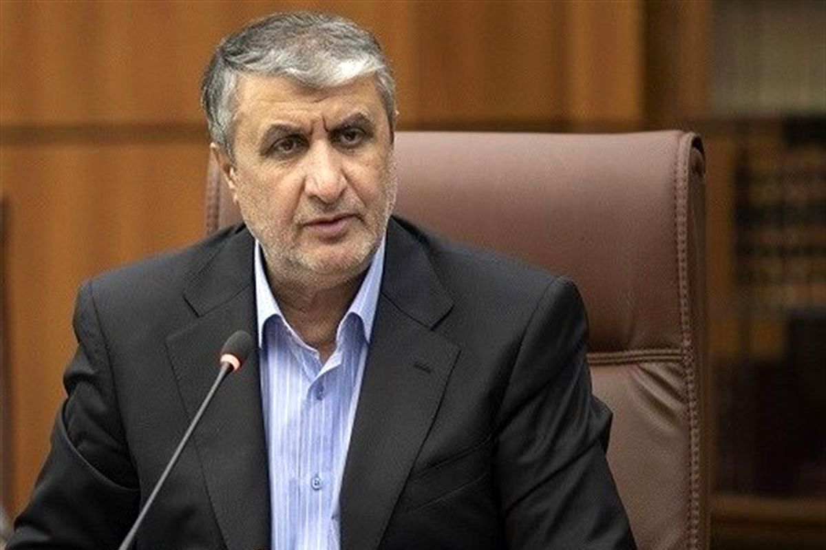 سخنگوی کمیسیون امنیت ملی و سیاست خارجی مجلس شورای اسلامی گفت: طبق گفته رئیس سازمان انرژی اتمی کشورمان، اگر طرف مقابل تقابل کند، جمهوری اسلامی هم تقابل خواهد کرد و اگر قطعنامه جدیدی علیه ایران صادر شود، قطعا اقدامات بلادرنگ خواهیم داشت.