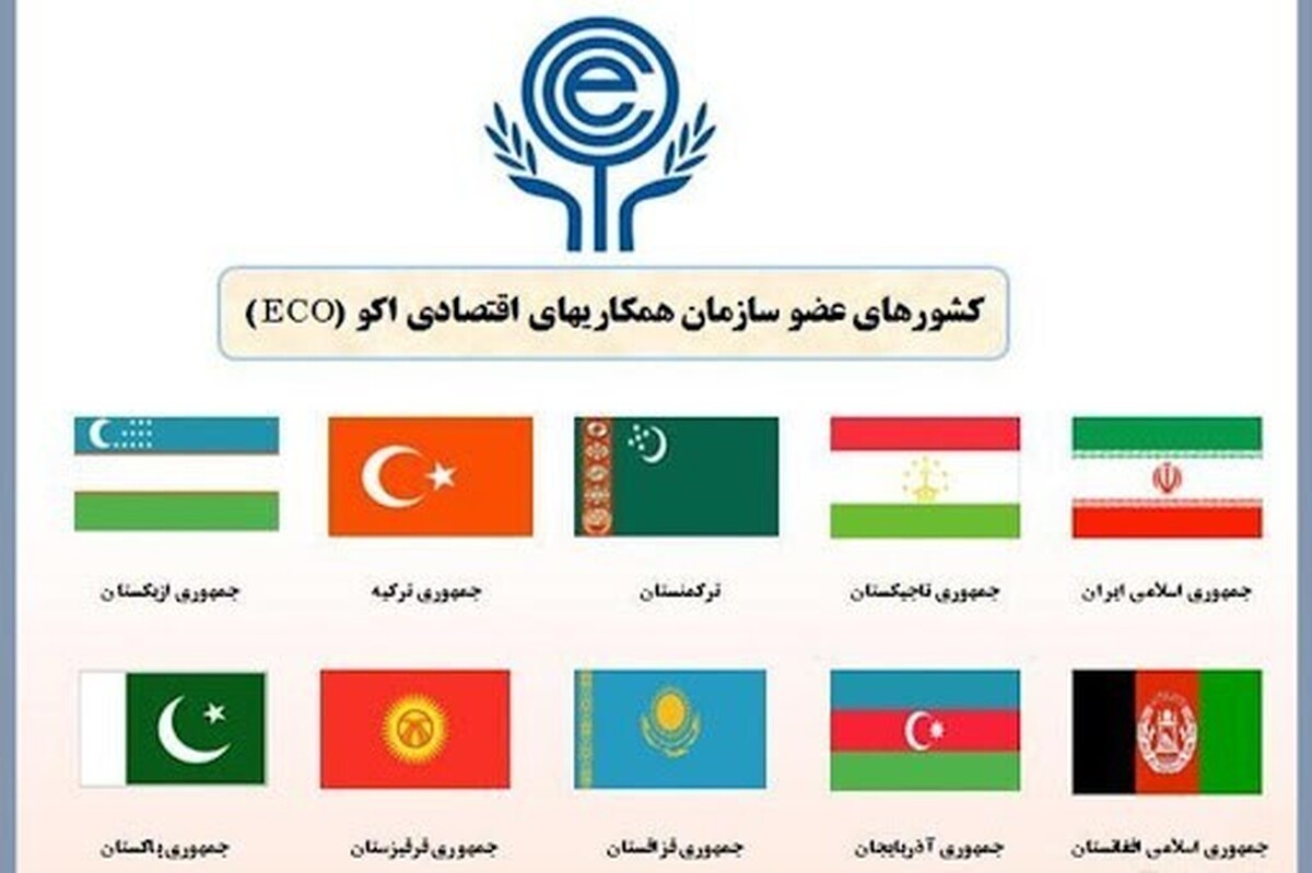 سازمان اکو چیست؟