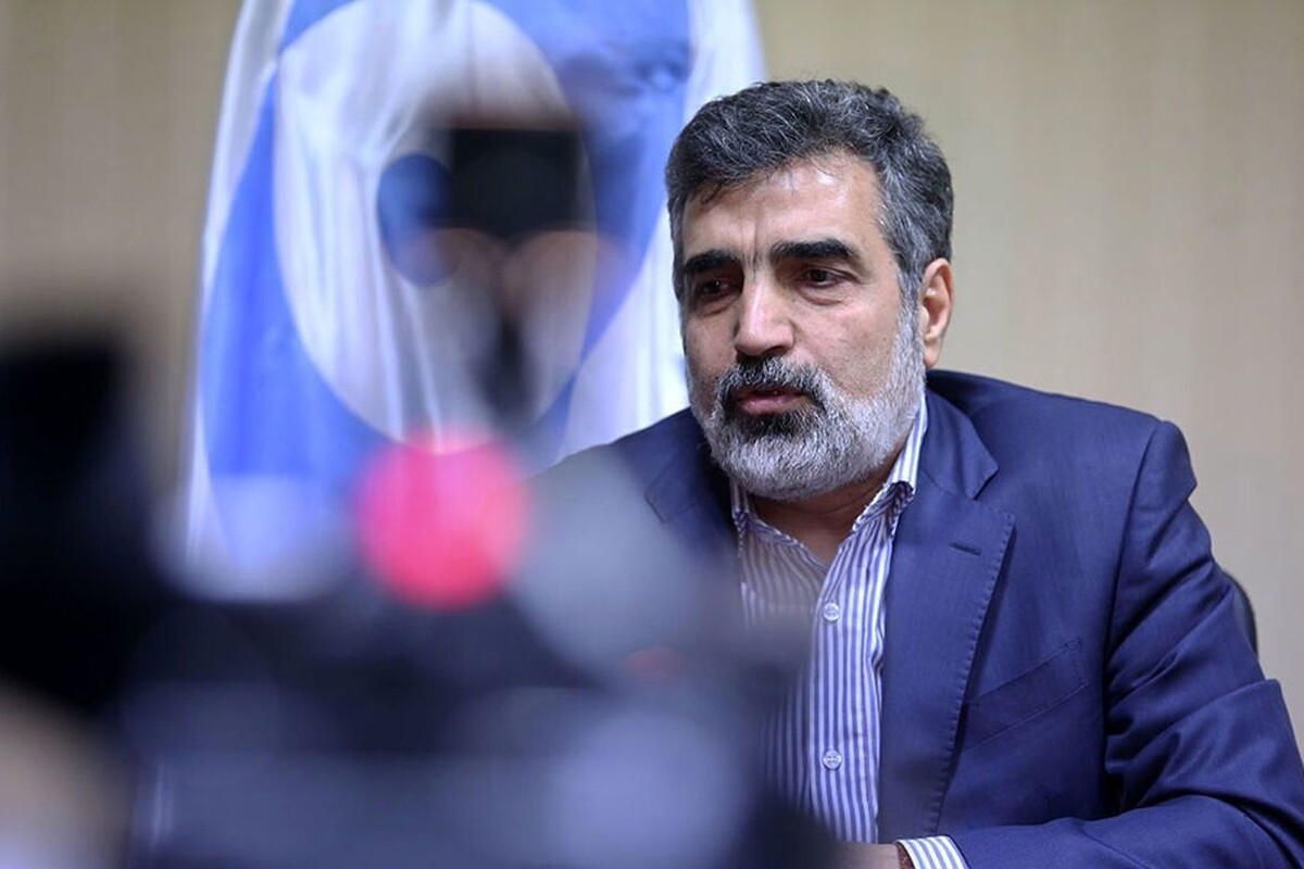 سخنگو و معاون امور بین‌الملل، حقوقی و مجلس سازمان انرژی اتمی گفت: متاسفانه دشمنان پرونده هسته‌ای ایران را بسیار پیچیده و سیاسی کرده‌اند.