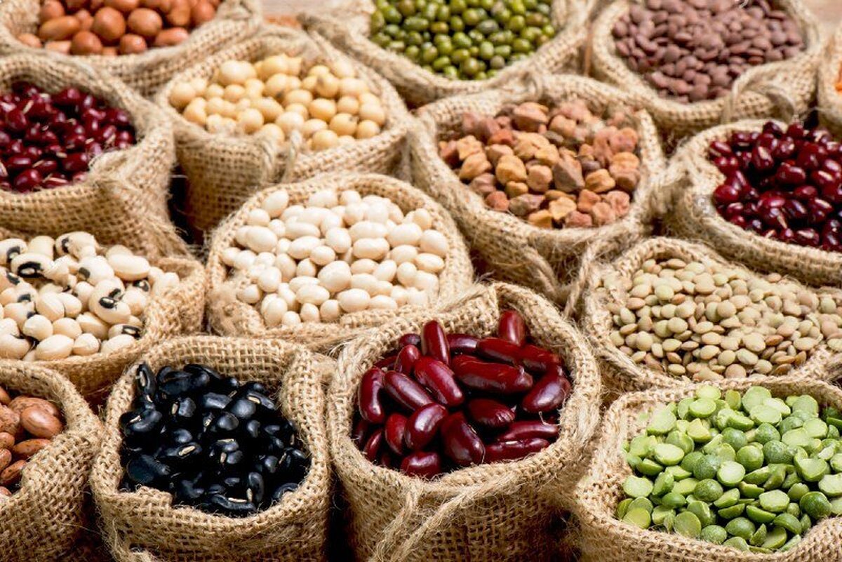 به گفته یک متخصص علوم و صنایع غذایی، با نگهداری حبوبات و خشکبار در محیط فریزر می‌توان سبب نابودی حشرات و غیرفعال شدن لارو و تخم این حشرات شد.