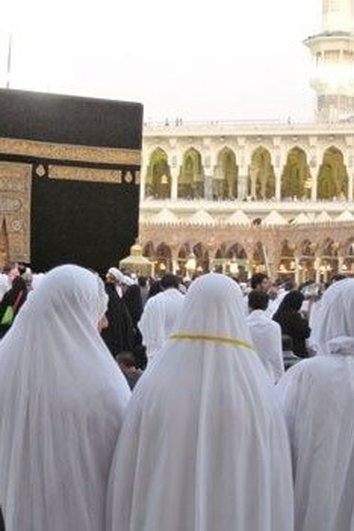 معاون فرهنگی بعثه مقام معظم رهبری با اشاره به اجرای طرح «معینه ثابت» در حج عمره۱۴۰۴، گفت: در این راستا، ۱۰۰ بانوی معینه در هتل‌های مکه و مدینه مستقر شده‌اند تا پاسخگوی نیاز بانوان زائر و سؤالات آنها باشند.