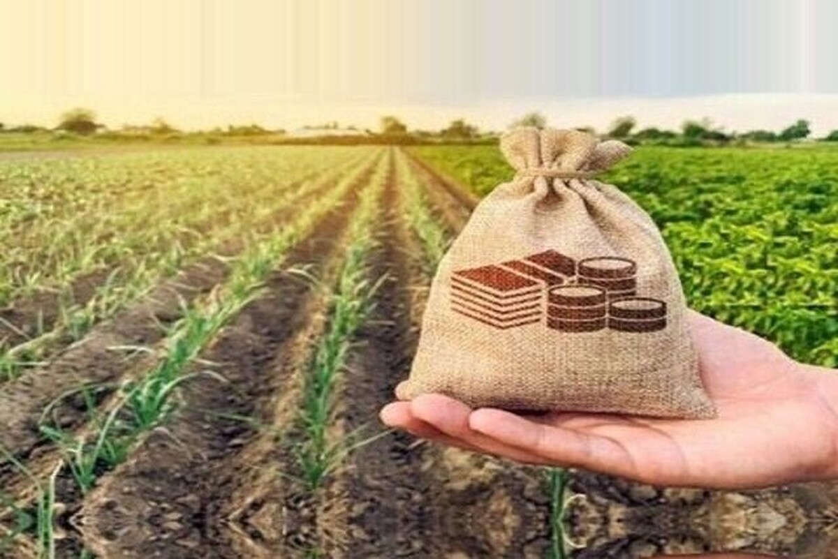 بر اساس آمار موجود، صادرات محصولات کشاورزی ایران از فروردین تا پایان بهمن ۱۴۰۳ نسبت به مدت مشابه سال قبل ۳۵ درصد افزایش یافته است. این در حالی است که با وجود کیفیت بالای محصولات و مشتریان خارجی، صادرات همچنان با موانعی روبه‌رو است.