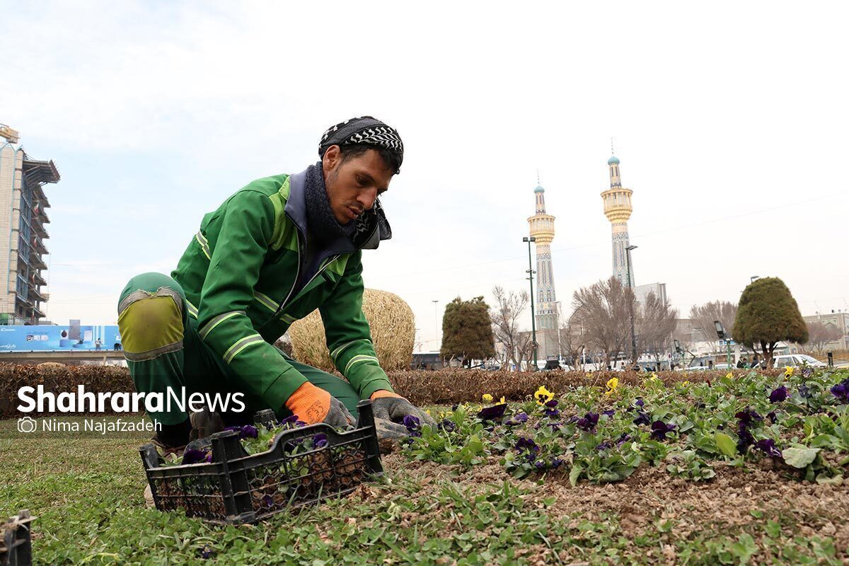 مدیرکل بهبود محیط زیست شهری شهرداری مشهد گفت: سال ۱۴۰۳ سال سختی برای تامین آب مورد نیاز فضای سبز بود و اگر اقدامی برای تامین پایدار منابع آبی مورد نیاز فضای سبز شهری نمی‌شد، بخش زیادی از این سرمایه ارزشمند شهر مشهد را از دست می‌دادیم.