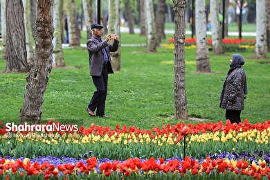 گزارش تصویری | جشنواره گل‌های لاله در مشهد