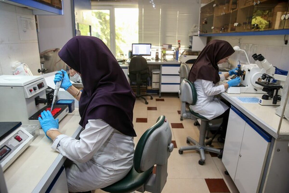 به گفته رئیس کمیسیون هوش مصنوعی سازمان نظام صنفی رایانه‌ای کشور، در حالی از سند مشارکت زنان در خرداد ۱۴۰۴ رونمایی می‌شود که تدوین این سند گامی راهبردی به سوی عدالت فناورانه و آینده‌ای هوشمندتر دانست.