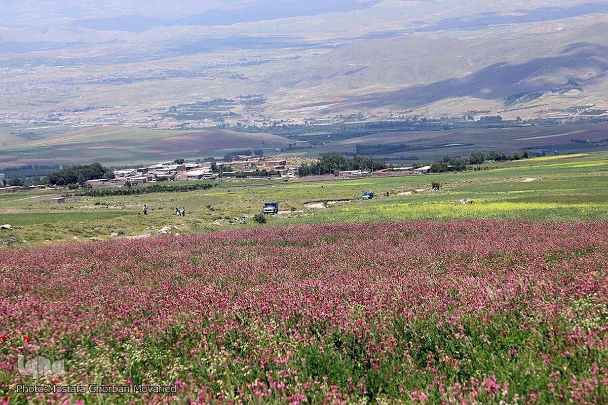 ویدئویی زیبا و دیدنی از بهار در جاده اهر به مشکین‌شهر را مشاهده می‌کنید.
