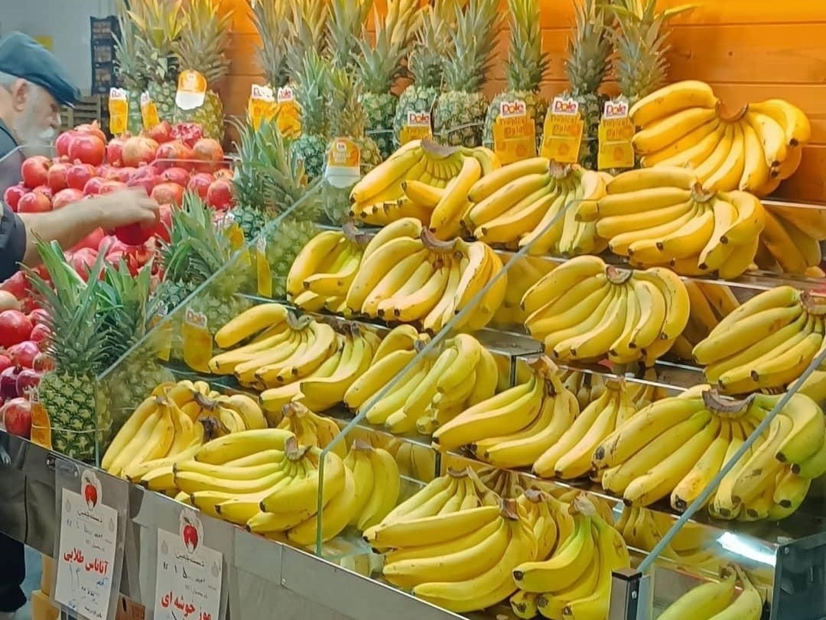 اتحادیه بارفروشان مشهد قیمت هر کیلو موز درجه دو در میادین تره بار مشهد را ۷۰ هزار تومان و درجه یک را ۱۷۵ هزار تومان اعلام کرد.