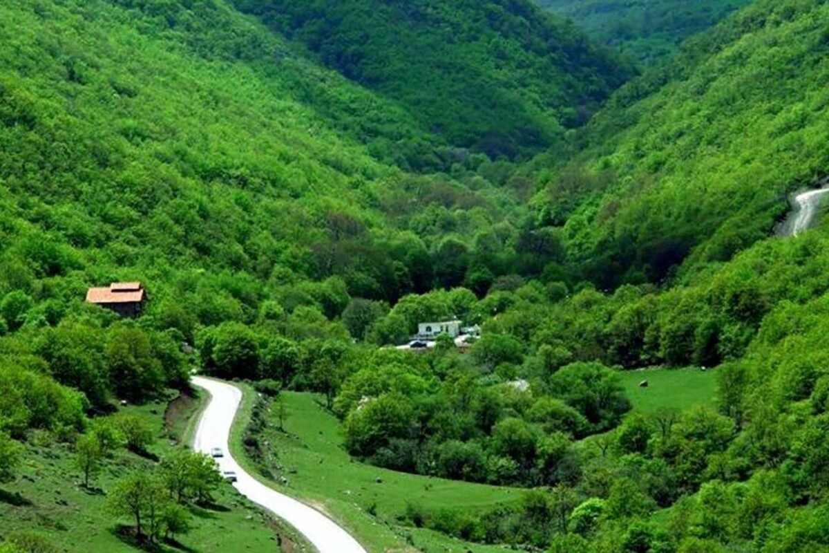قره‌داغ، زیستگاه گونه‌های متنوعی از پستانداران و پرندگان است. در این ویدیو گونه‌هایی همچون تشی، راسوی کوچک، سمور سنگی، روباه، شغال، گربهٔ وحشی، کورگن، خرگوش، گراز را نشان می‌دهد.