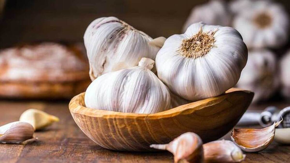 اتحادیه بارفروشان مشهد قیمت انواع میوه و تره‌بار به صورت عمده‌فروشی را اعلام کرد.