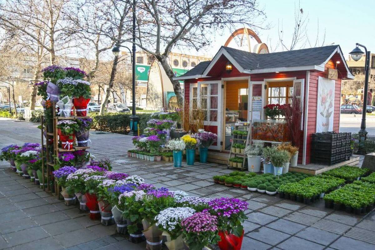 مدیرعامل سازمان مشاغل شهری و فرآورده های کشاورزی شهرداری مشهد از آغاز عرضه گل و گیاه در سه نقطه از شهر مشهد با هدف زیباسازی منظر شهری خبر داد.