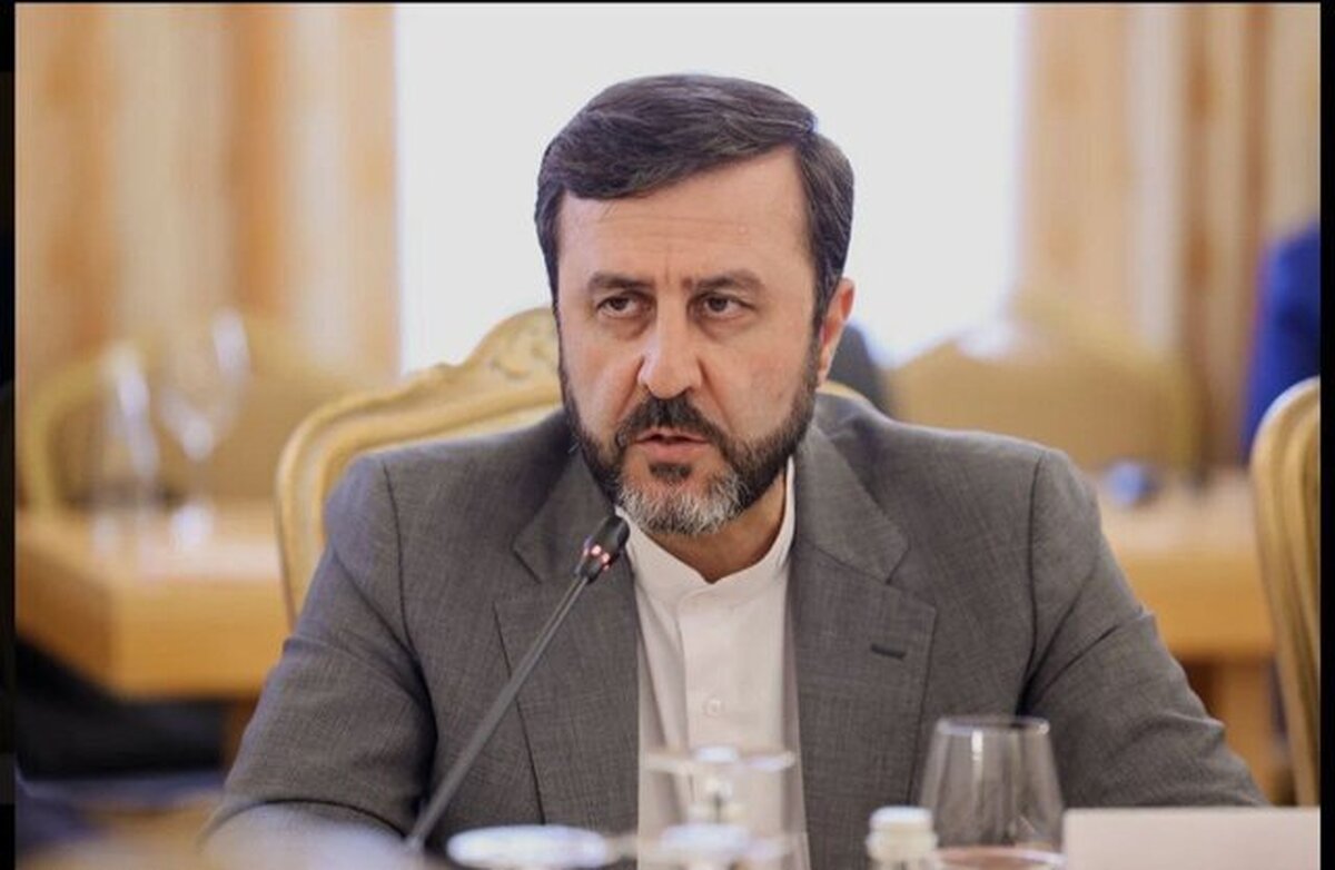 کمیسیون امنیت ملی مجلس با حضور عضو تیم مذاکره‌کننده هسته‌ای، تشکیل جلسه خواهد داد