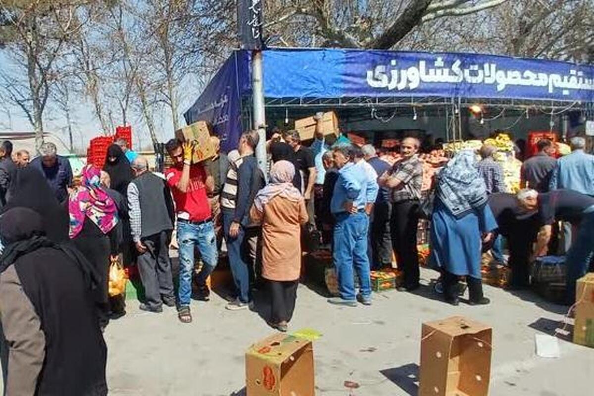 معاون رئیس سازمان و مدیر جهاد کشاورزی مشهد گفت: بیش از ۷۰۰ تن میوه و خرما در جایگاه‌های عرضه مستقیم این شهرستان از ۲۵ اسفندماه پارسال تا سوم فروردین امسال، توزیع شده است.