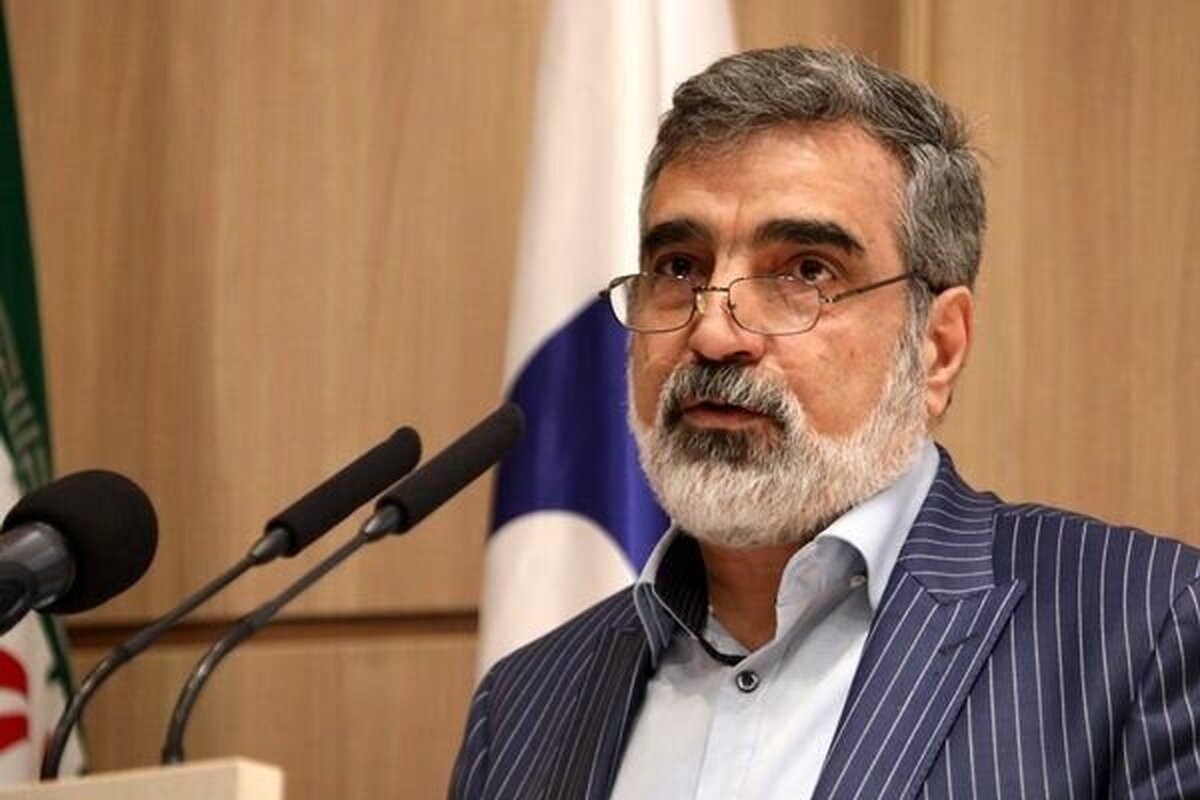 سخنگوی سازمان انرژی اتمی اظهار کرد: تهدید به اسنپ‌بک، تهدیدی پوشالی و توخالی است؛ حتی در دولت قبل هم پاسخ داده شد که استفاده ناحق از مکانیزم ماشه، عکس‌العمل مناسب و شدید ایران را به دنبال خواهد داشت.
