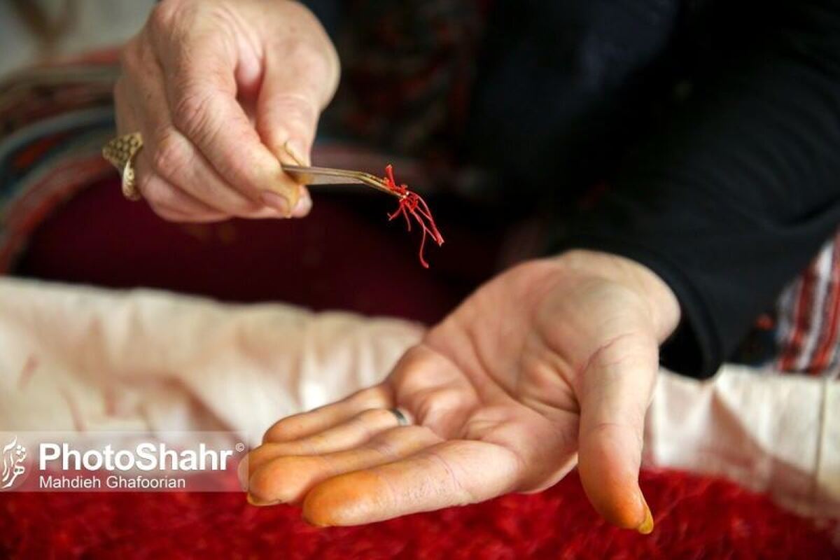 «عصاره زعفران لیتری ۱۰۰ هزار تومان» | محصولات غیراستانداردی که سلامت خریداران را نشانه می‌گیرند