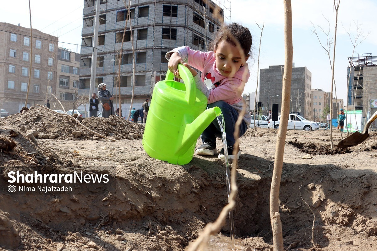 خراسان رضوی رتبه‌ی اول کشوری در اجرای طرح مردمی کاشت یک میلیارد درخت