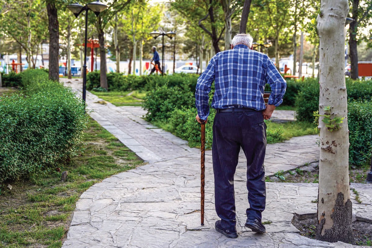عصای پیر
