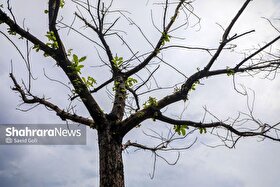 پیش‌بینی هواشناسی مشهد و خراسان رضوی امروز (چهارشنبه، ۱۰ اردیبهشت ۱۴۰۴) | آغاز روند افزایش دما از فردا با احتمال بارش تگرگ در نواحی مستعد