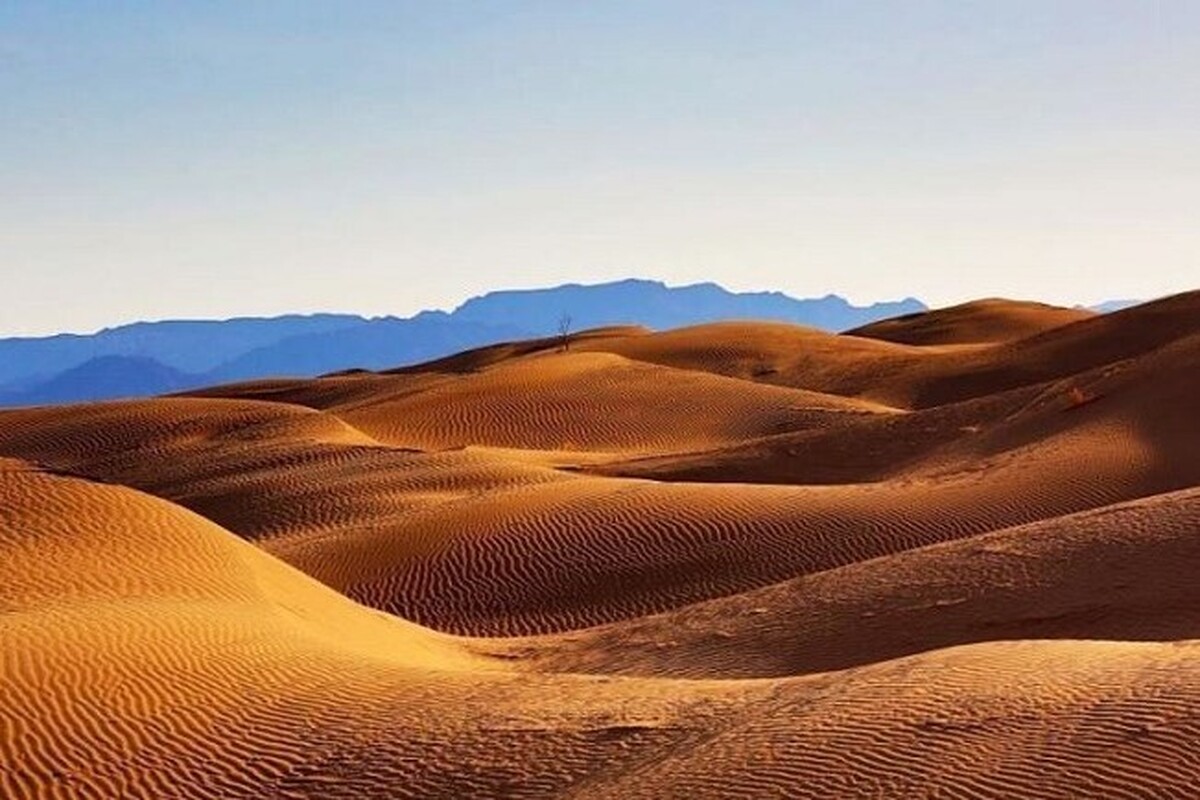 راهکار جدید برای تأمین آب حیات‌وحش در ماه‌های گرم سال