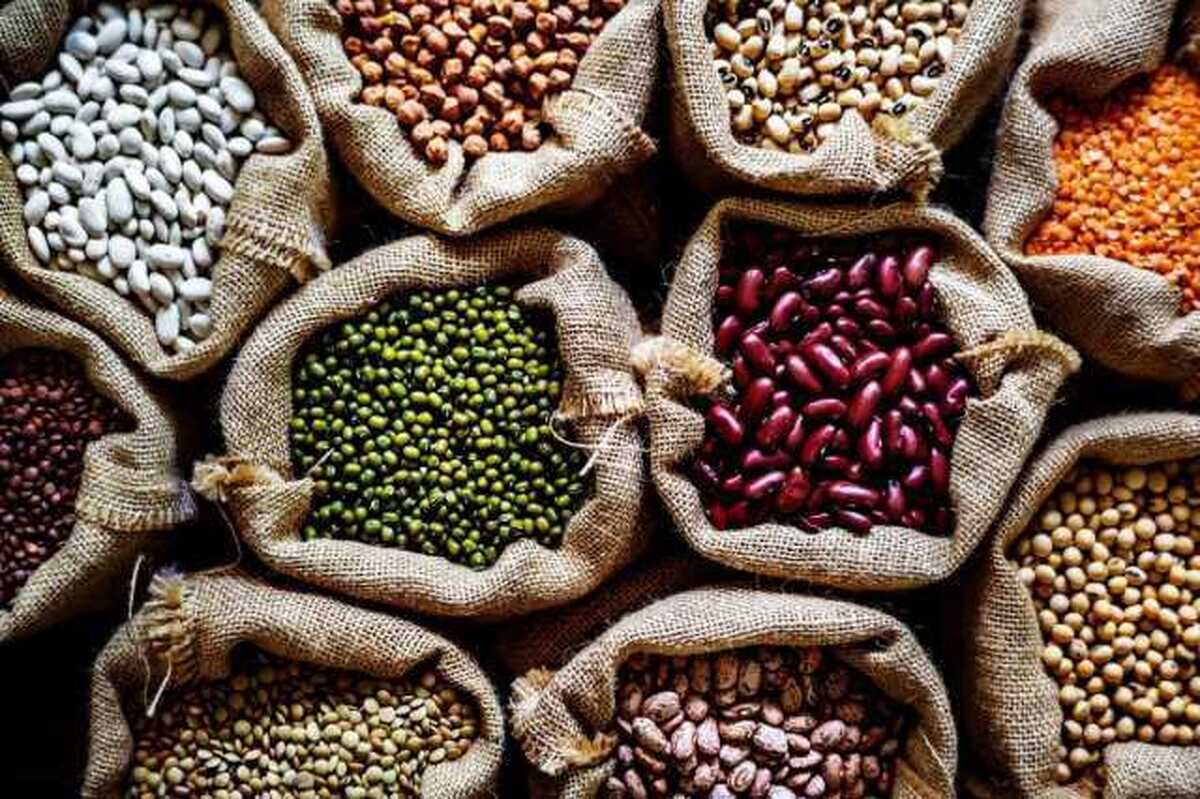 بررسی قیمت حبوبات در مشهد (۲۲ اردیبهشت ۱۴۰۴) | لوبیا چیتی را بیشتر از این قیمت نخرید