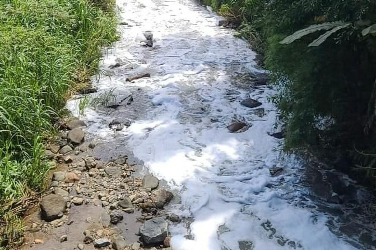 نشت مواد شیمیایی به یک رودخانه در برزیل موجب آلوده شدن ماهی‌ها و پرندگان شد
