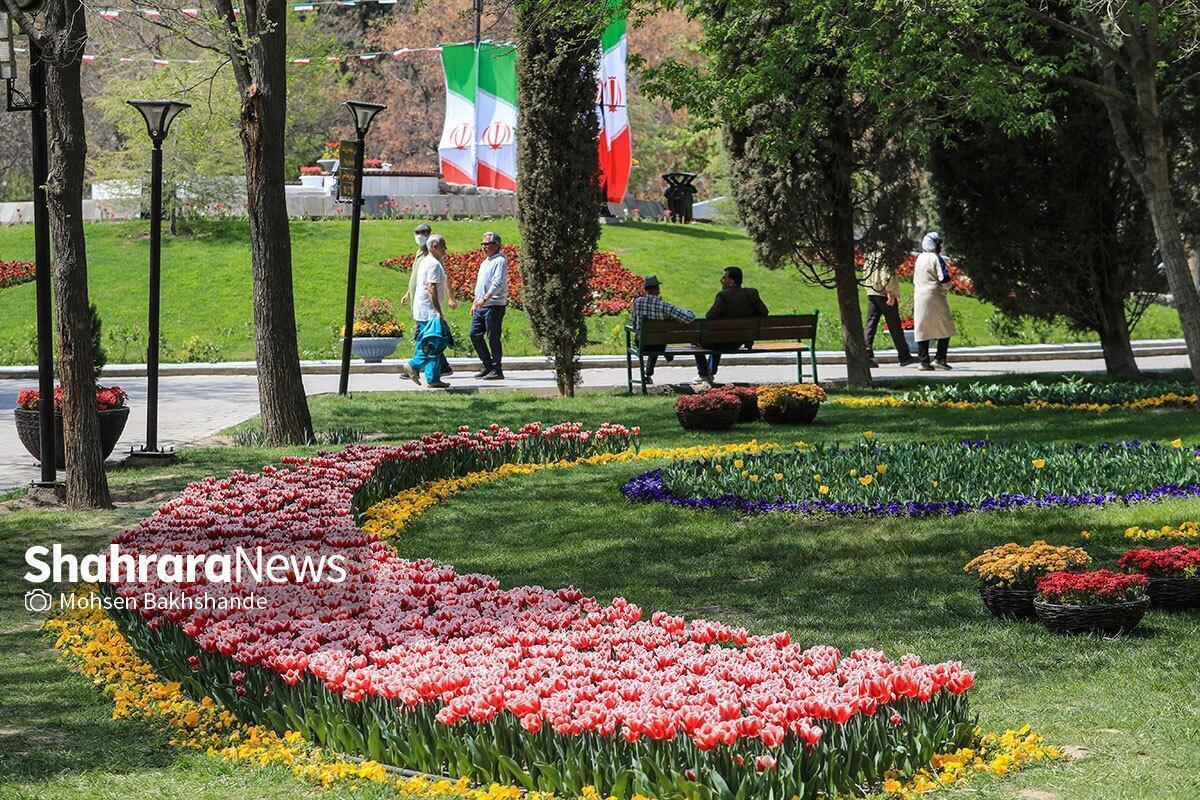 فصل طغیان شته در باغات و فضای سبز شهری مشهد | به ۱۶۰ درخواست مردم در خصوص آفات رسیدگی شد