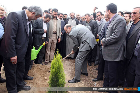 روز درختکاری