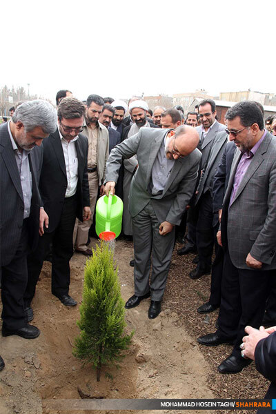 روز درختکاری