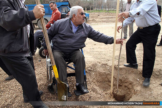 روز درختکاری