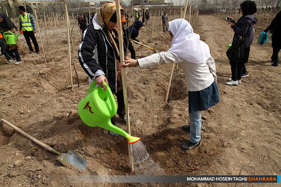 روز درختکاری