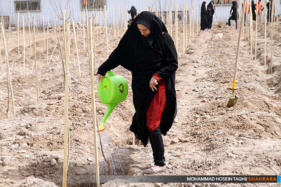 روز درختکاری