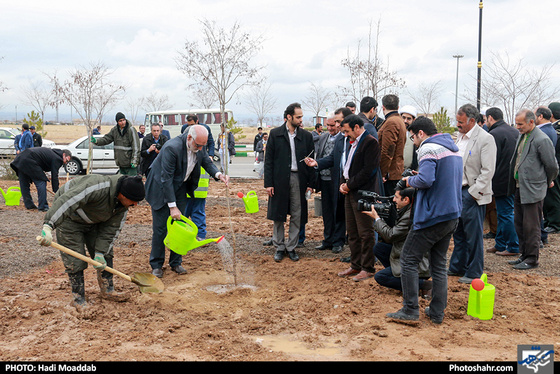 مراسم درختکاری در آرامستان بهشت رضوان / عکس: هادی مودب / شهرآرا
