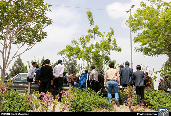 تصادف زنجیره ای در بزرگراه شهید بابانظر / عکس: هادی مودب / شهرآرا