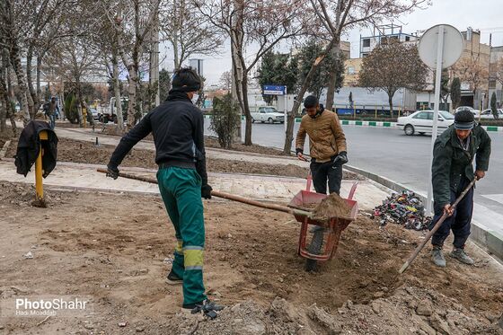 رنگ بهار در خیابان‌های شهر