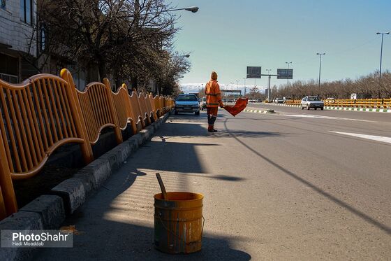 رنگ بهار در خیابان‌های شهر